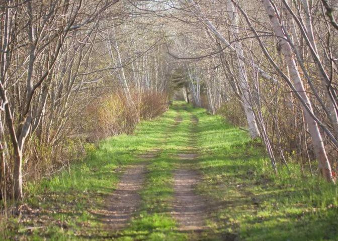 Upper Clements Cottages & Rv Park Annapolis Royal Ngoại thất bức ảnh
