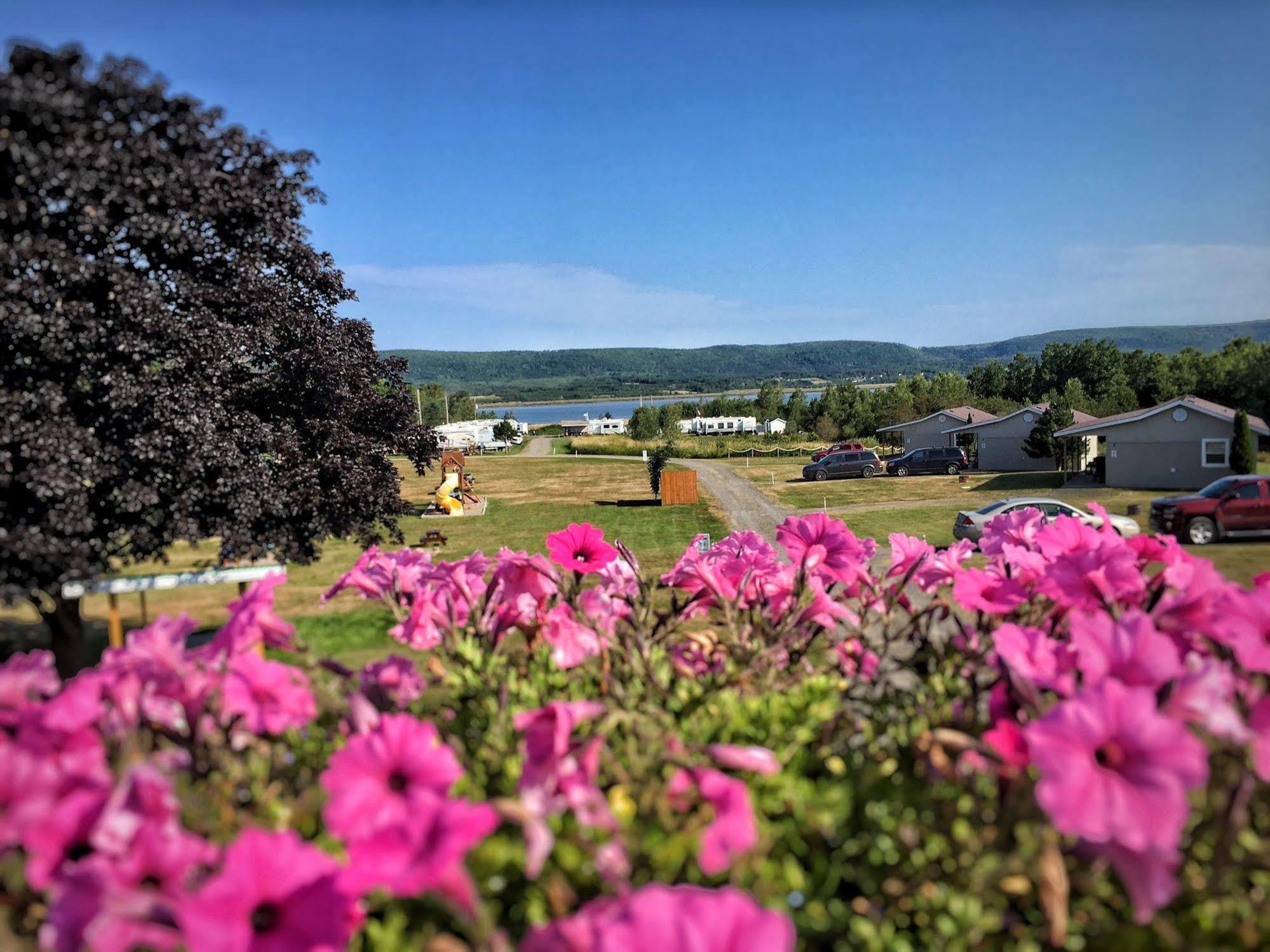 Upper Clements Cottages & Rv Park Annapolis Royal Ngoại thất bức ảnh
