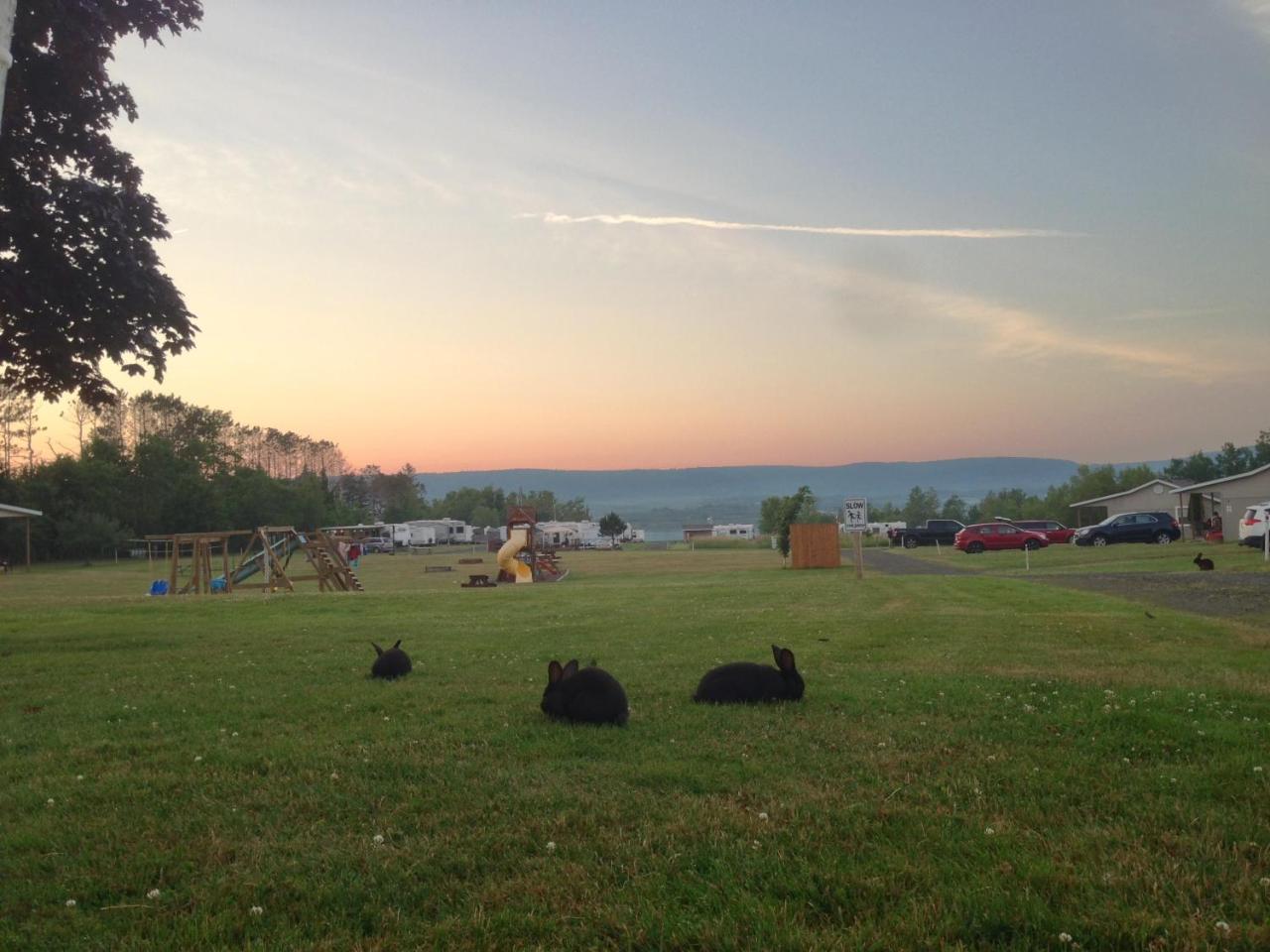 Upper Clements Cottages & Rv Park Annapolis Royal Ngoại thất bức ảnh